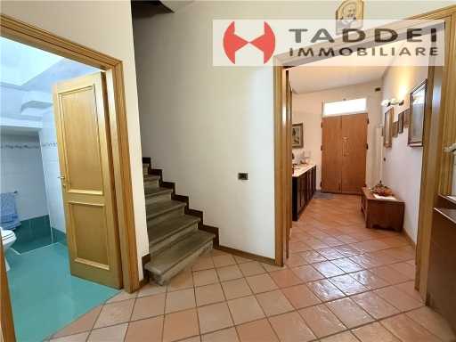  - foto 13