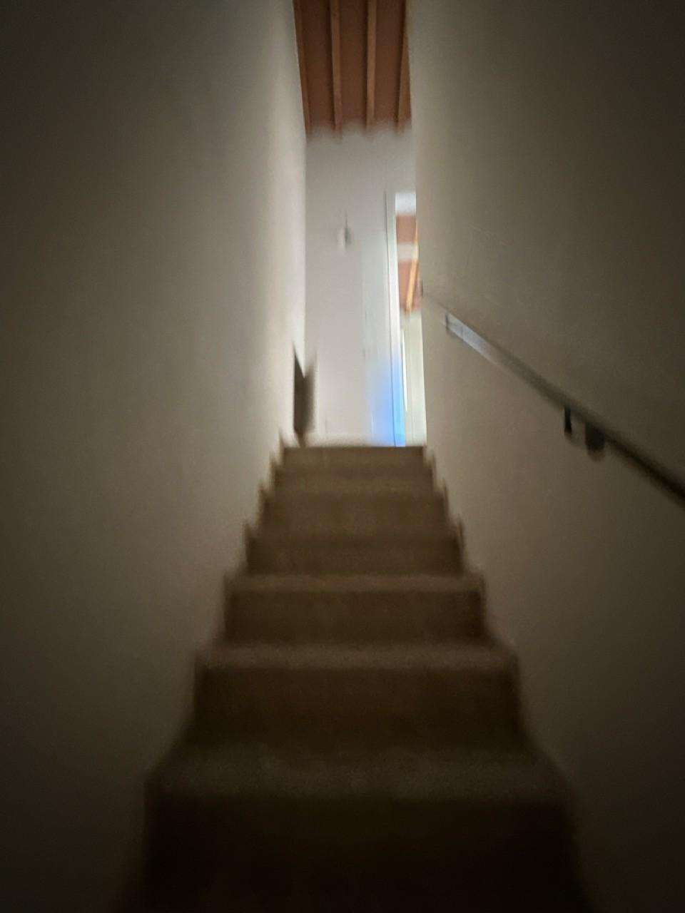  - foto 15