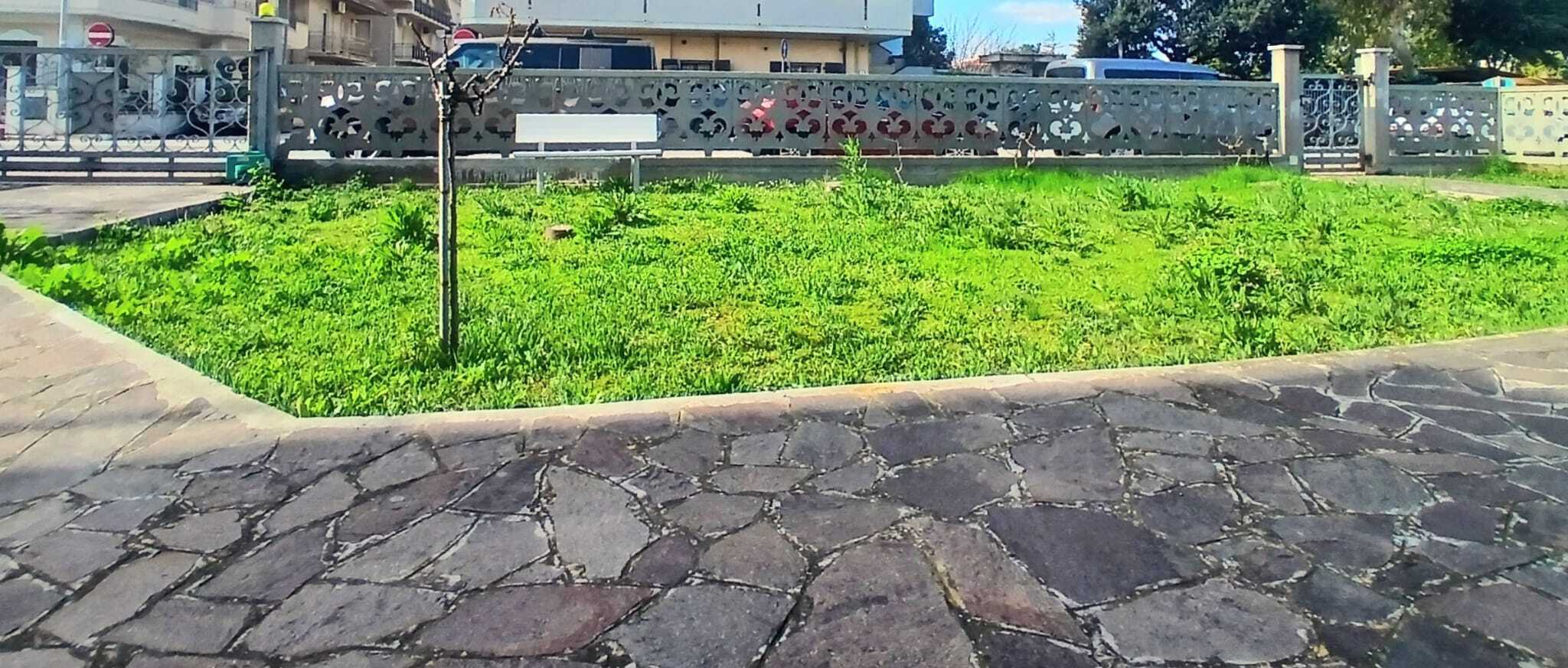  - foto 6
