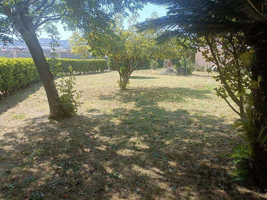  - foto 3