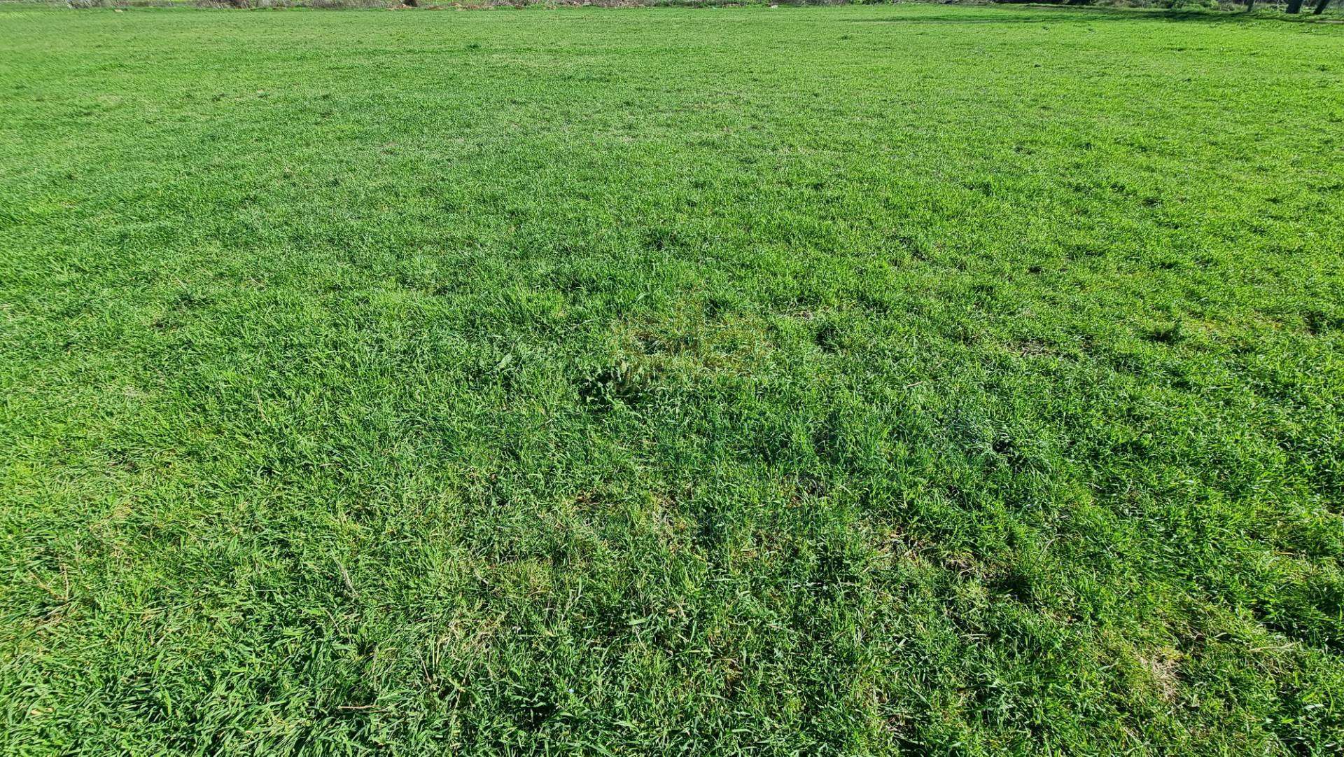 Terreno agricolo, Marcianise