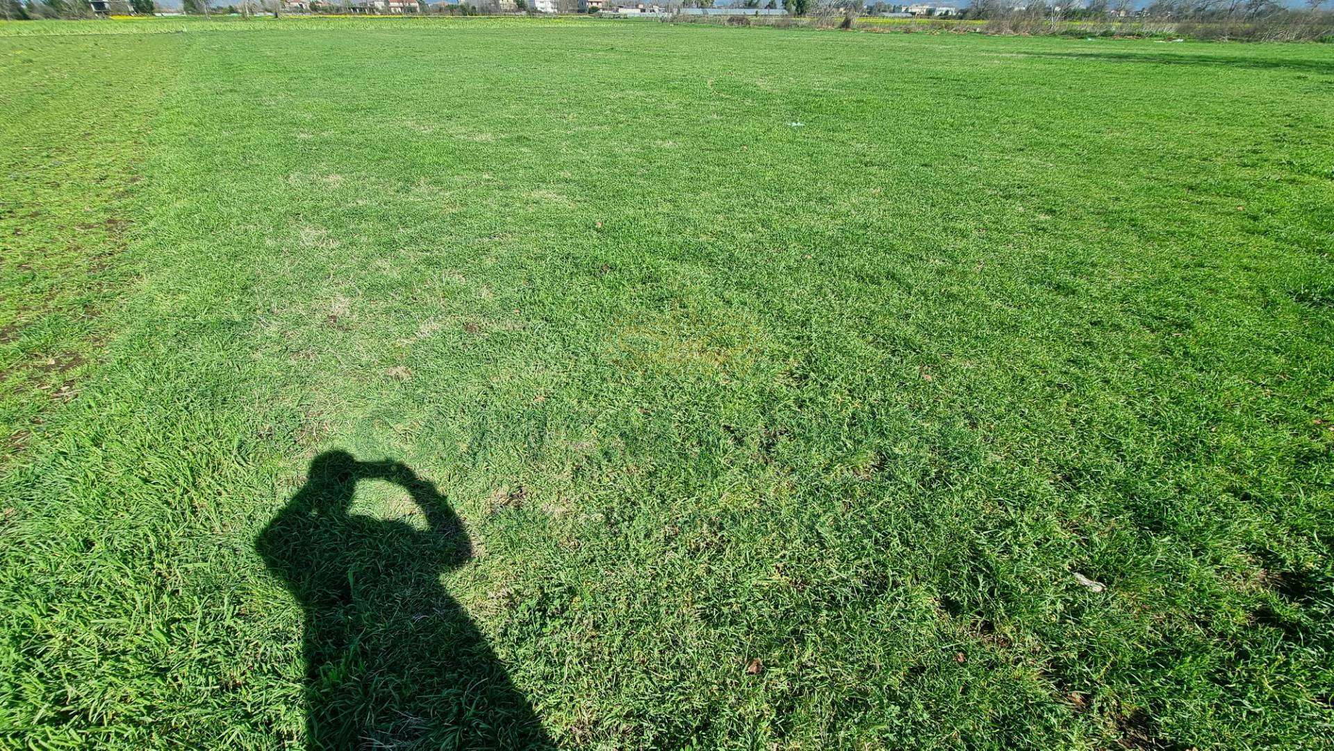  - foto 10