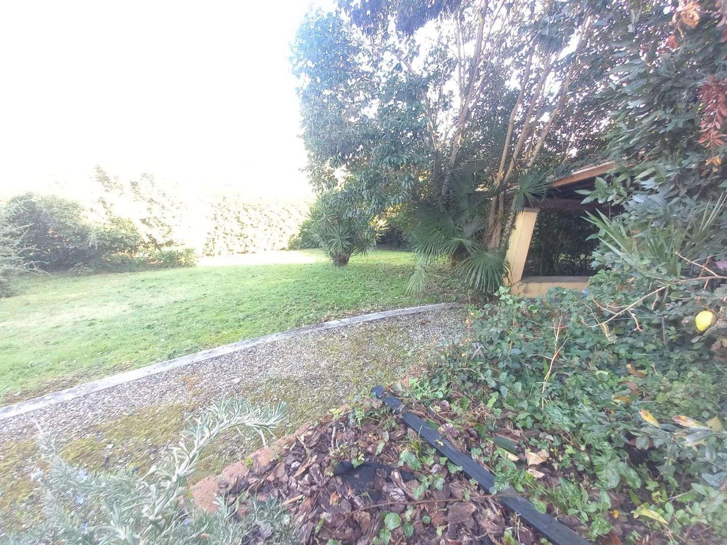  - foto 16