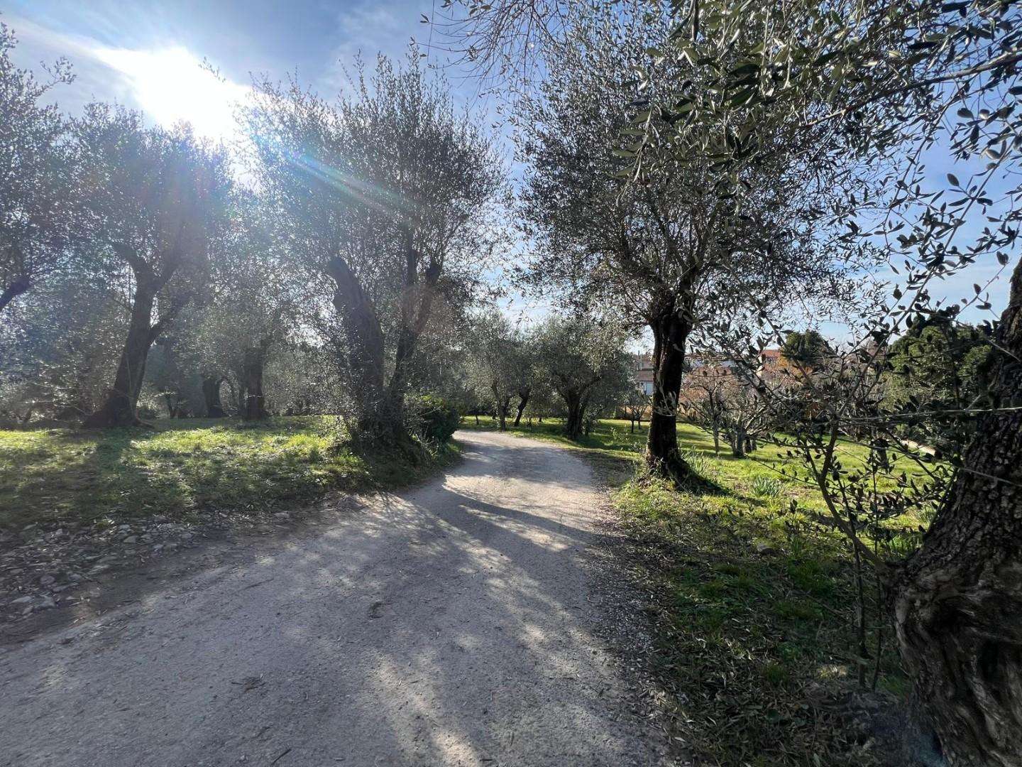  - foto 63