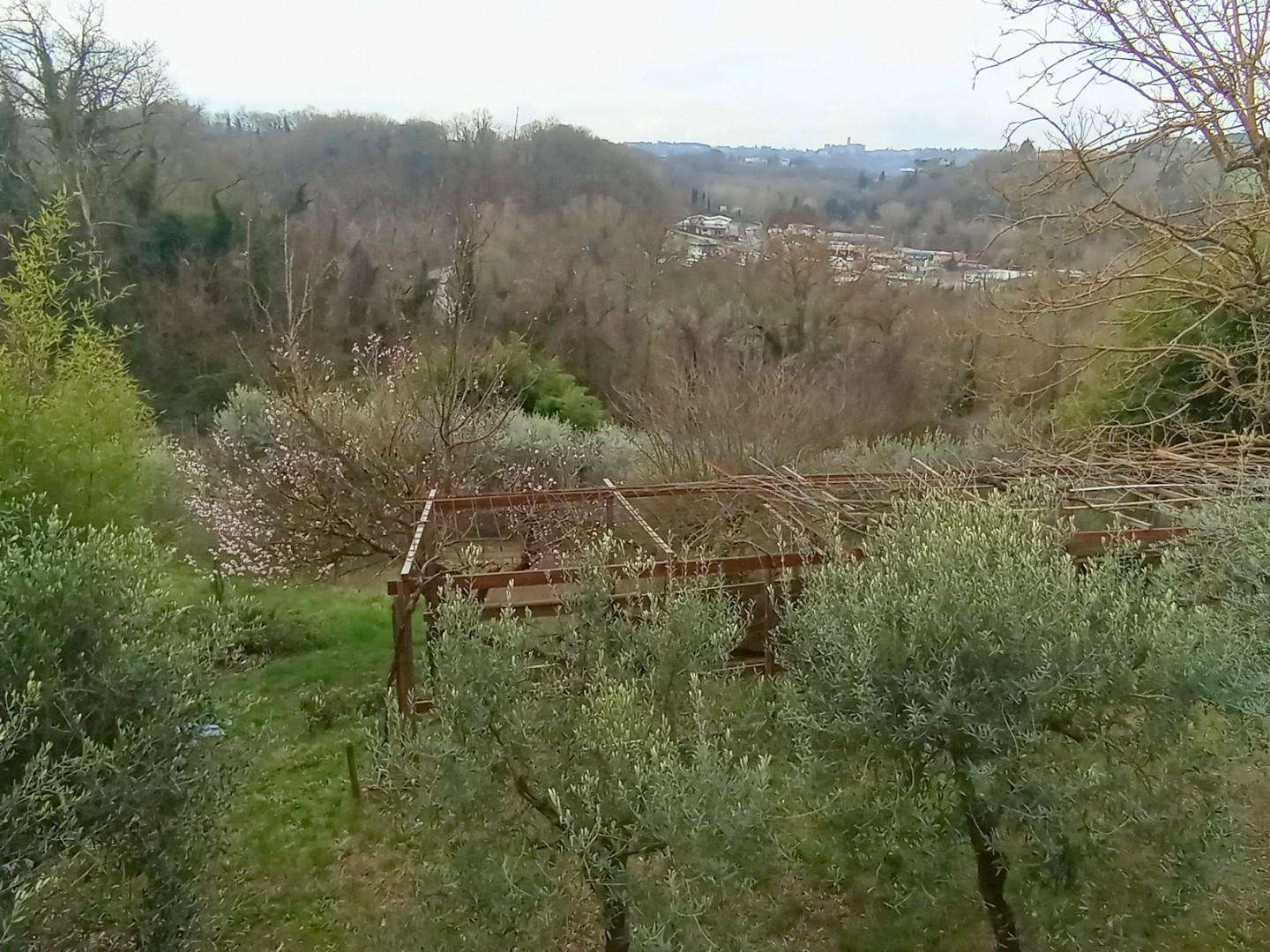  - foto 32