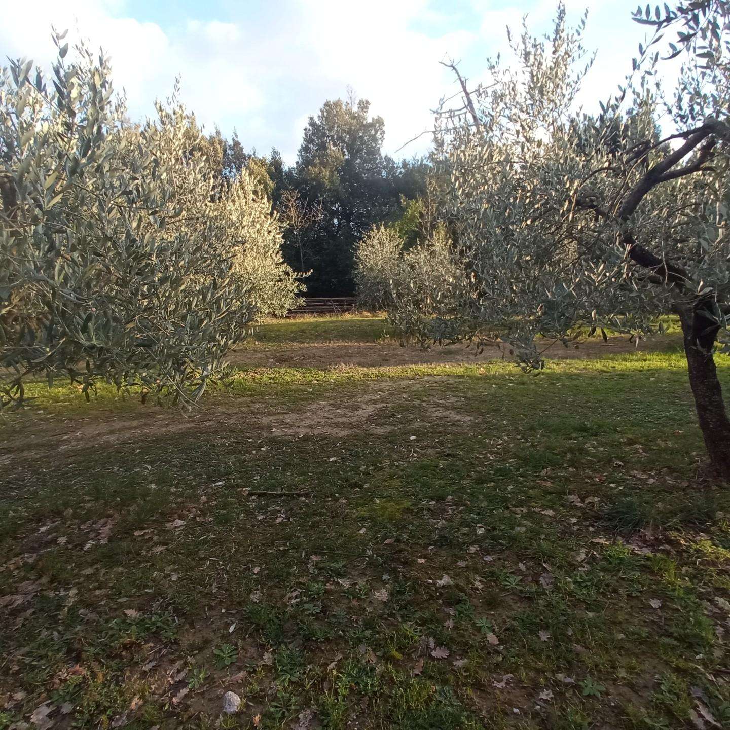  - foto 29