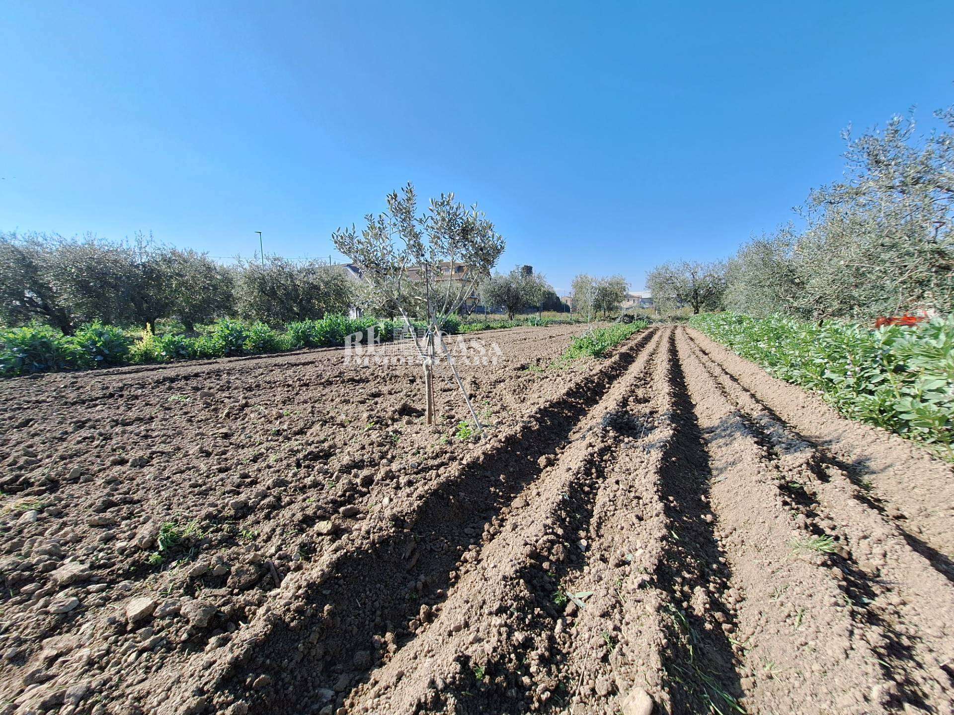 Terreno agricolo riserva naturale sentina, San Benedetto del Tronto
