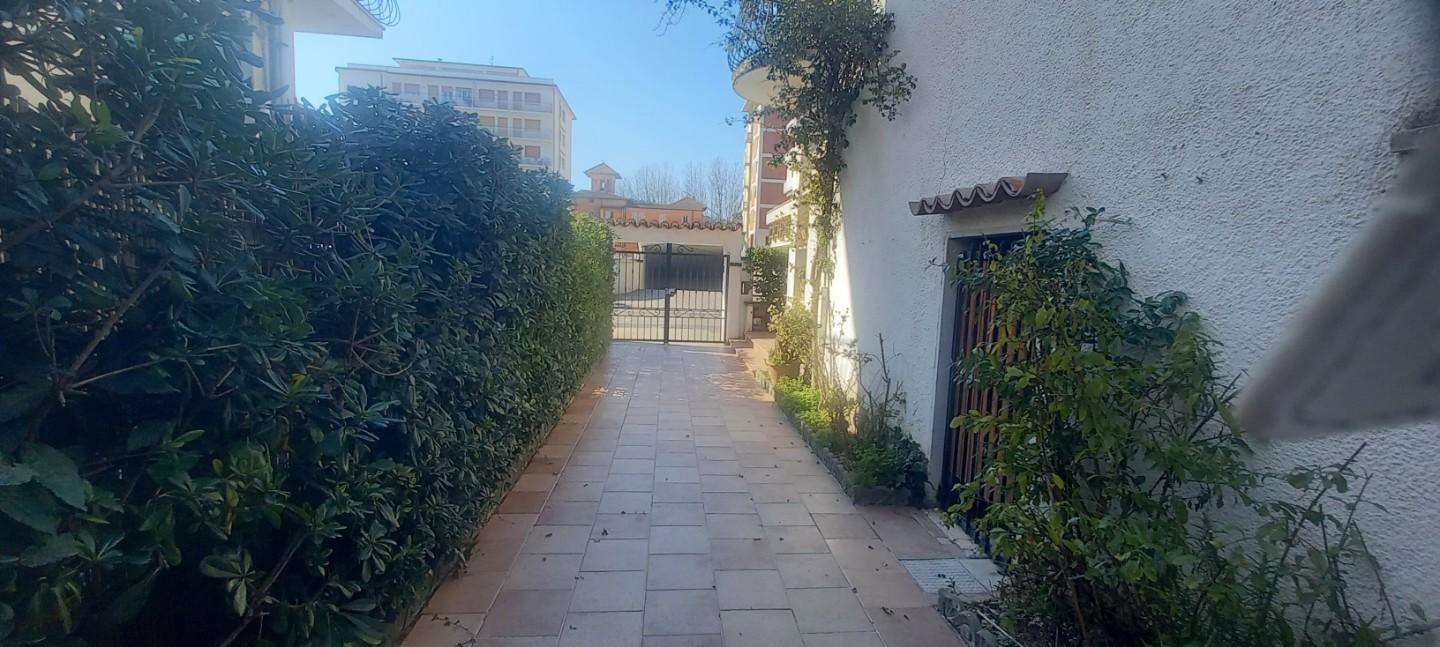  - foto 13