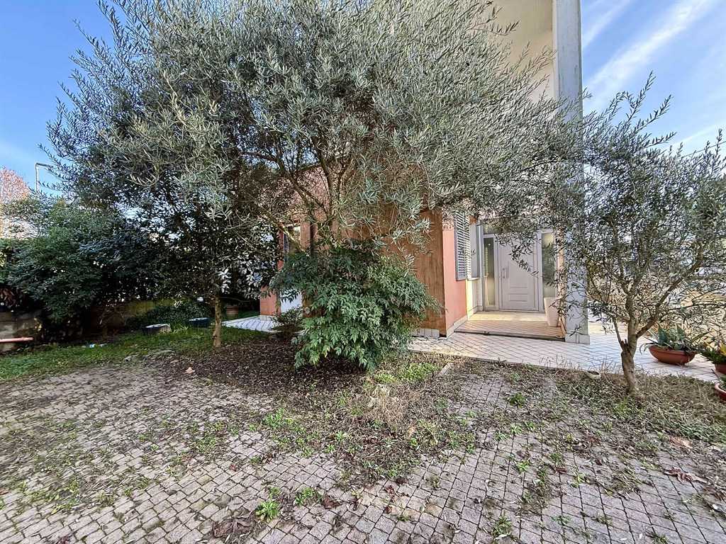  - foto 15