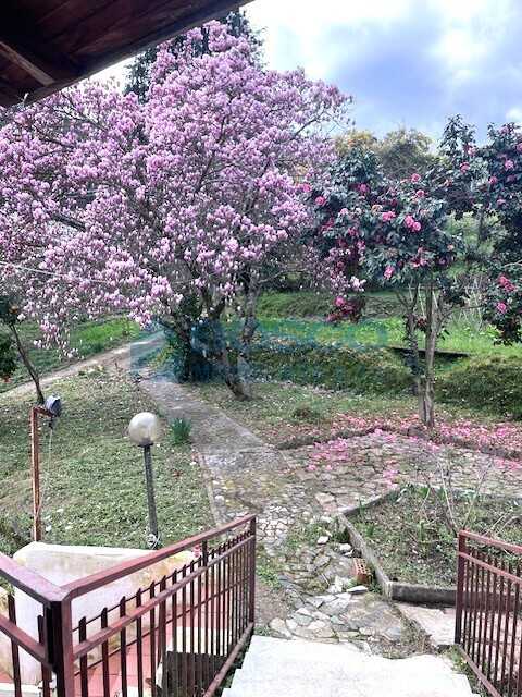  - foto 31