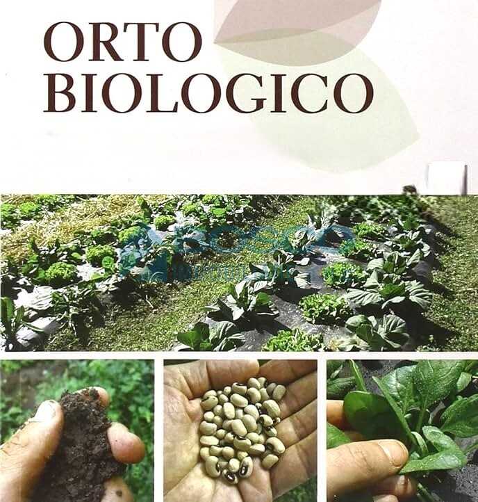  - foto 32