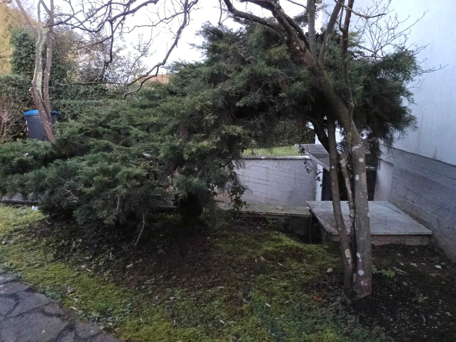  - foto 26