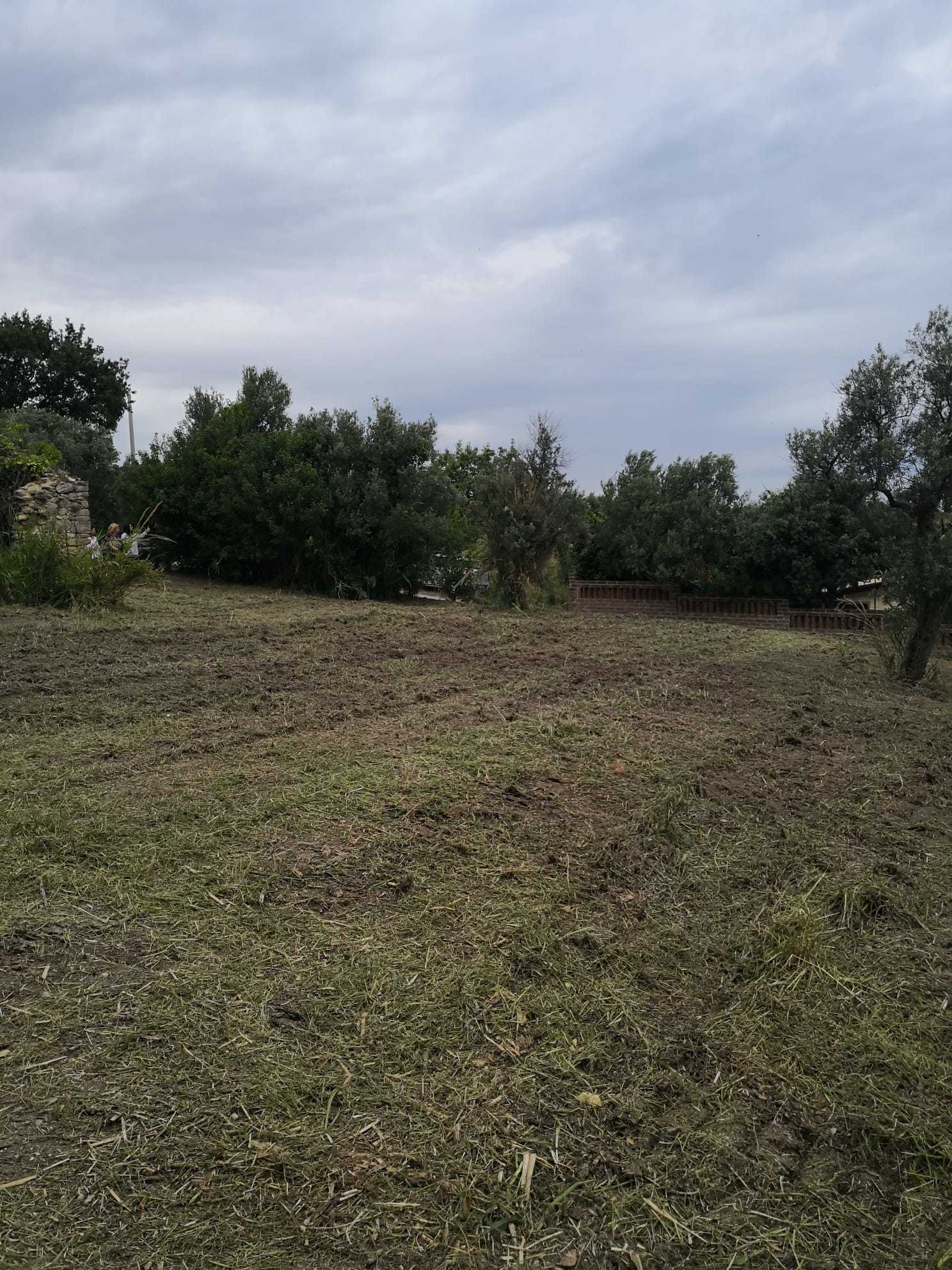  - foto 12