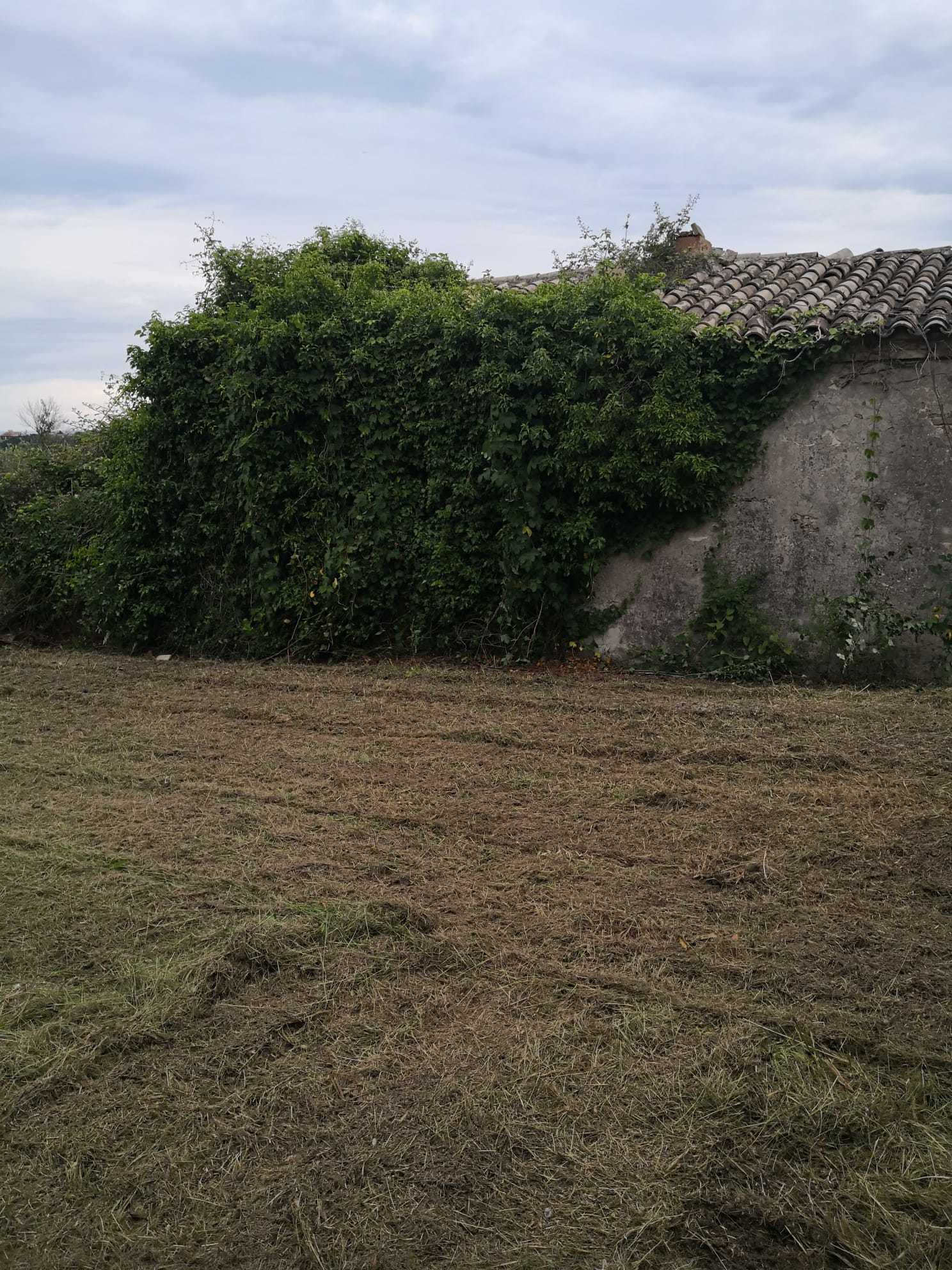  - foto 13