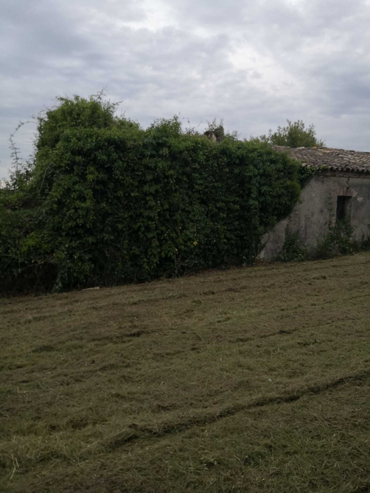  - foto 15