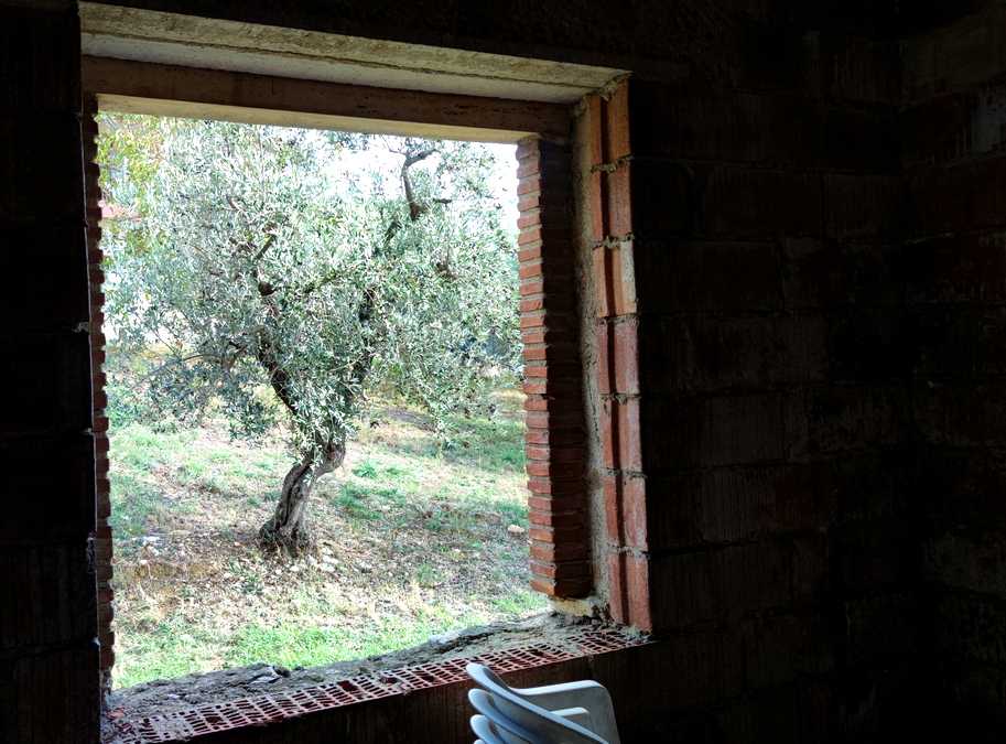  - foto 15
