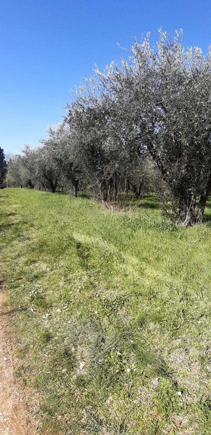  - foto 3