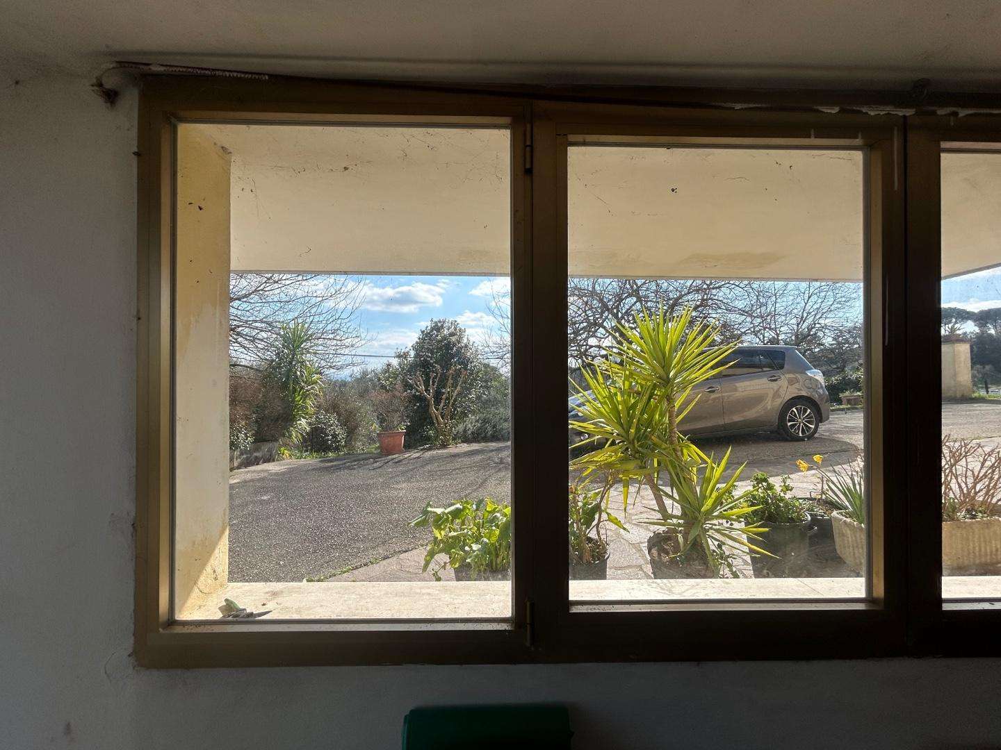  - foto 50