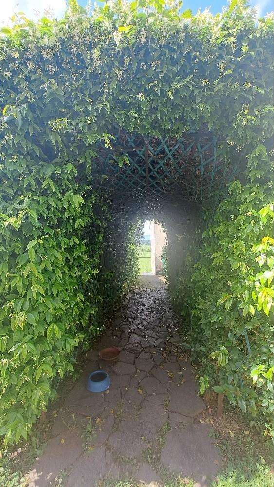 - foto 52