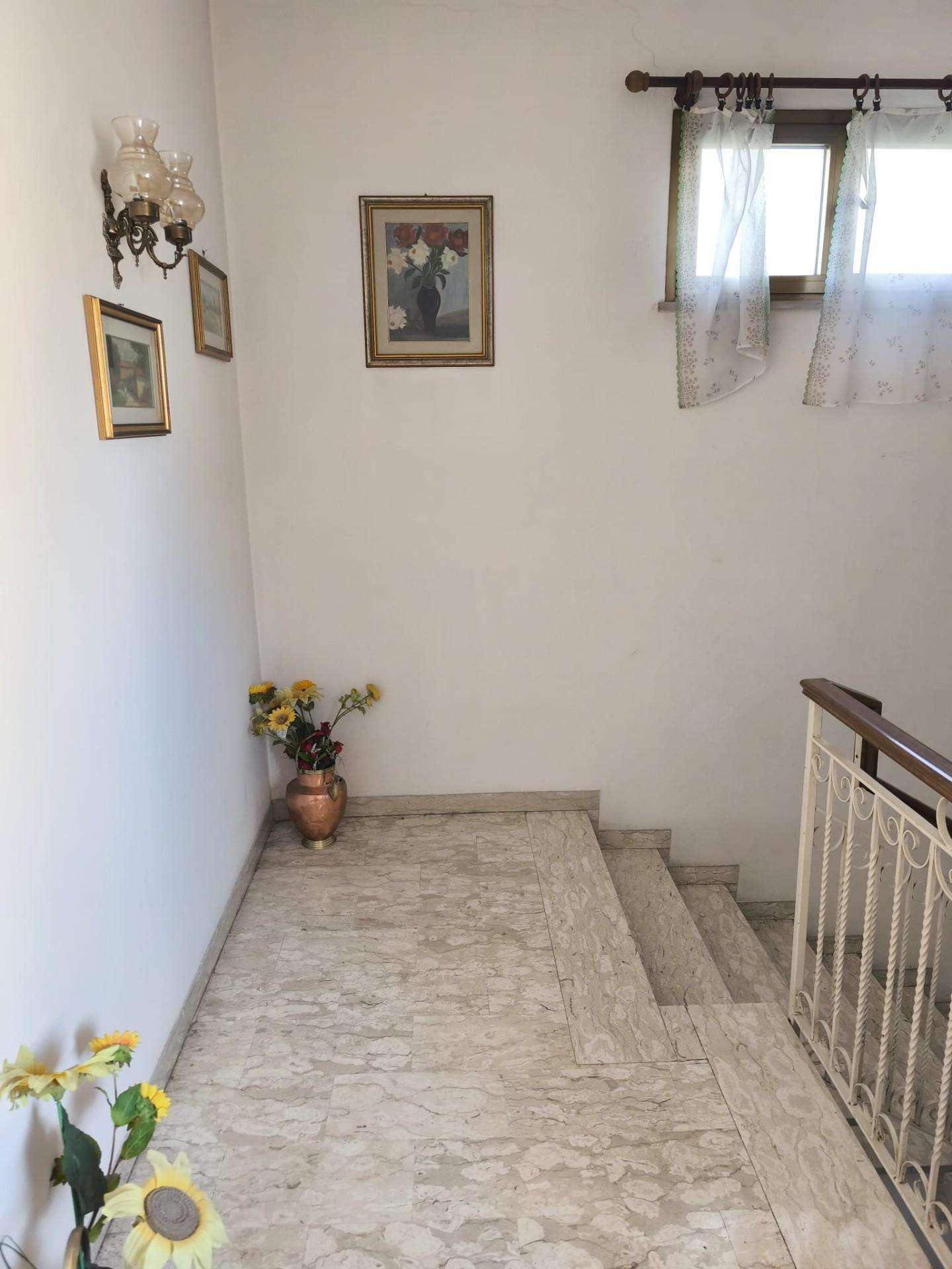  - foto 31