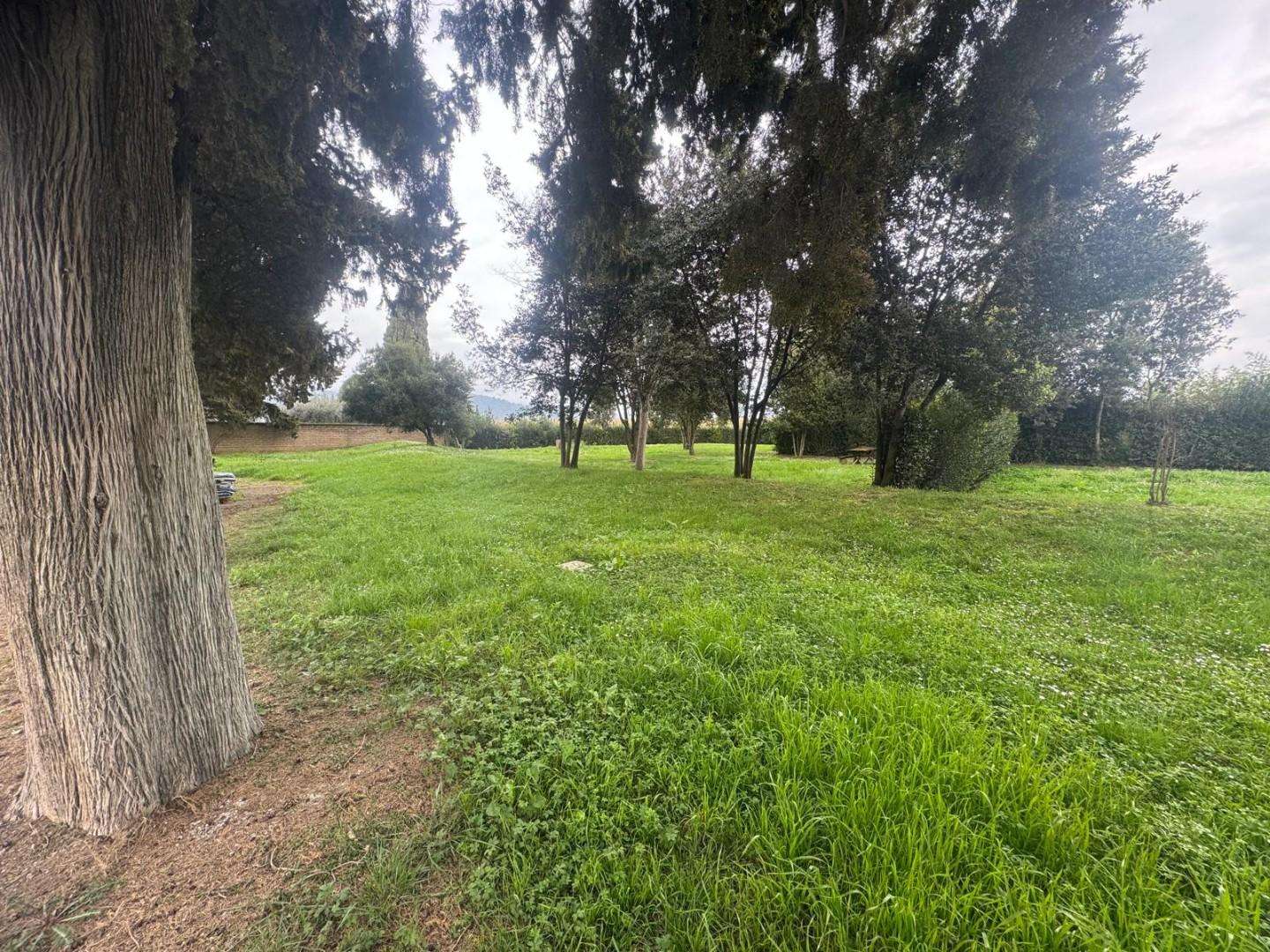  - foto 31