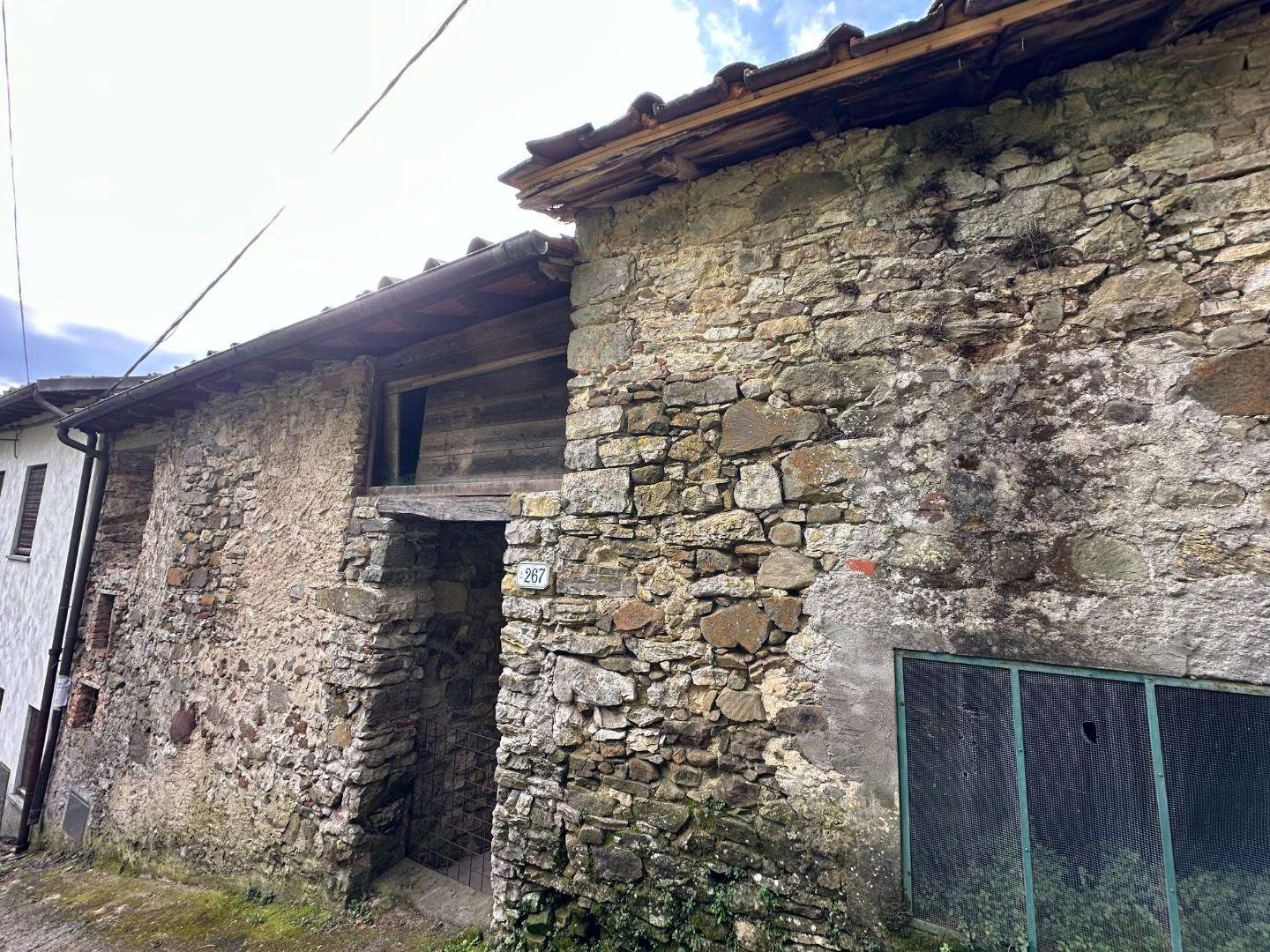  - foto 24