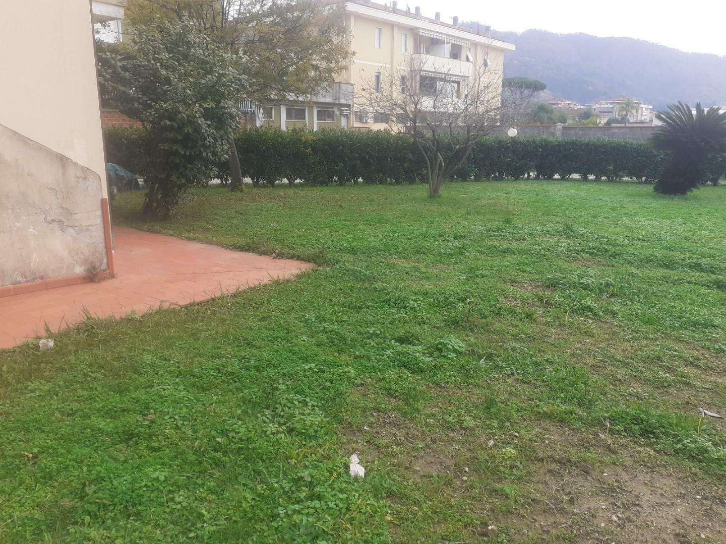  - foto 43