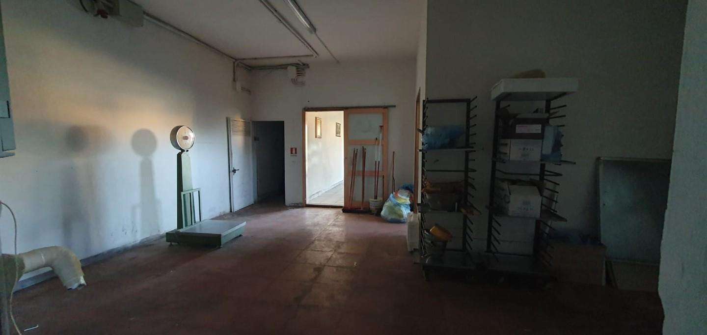  - foto 13
