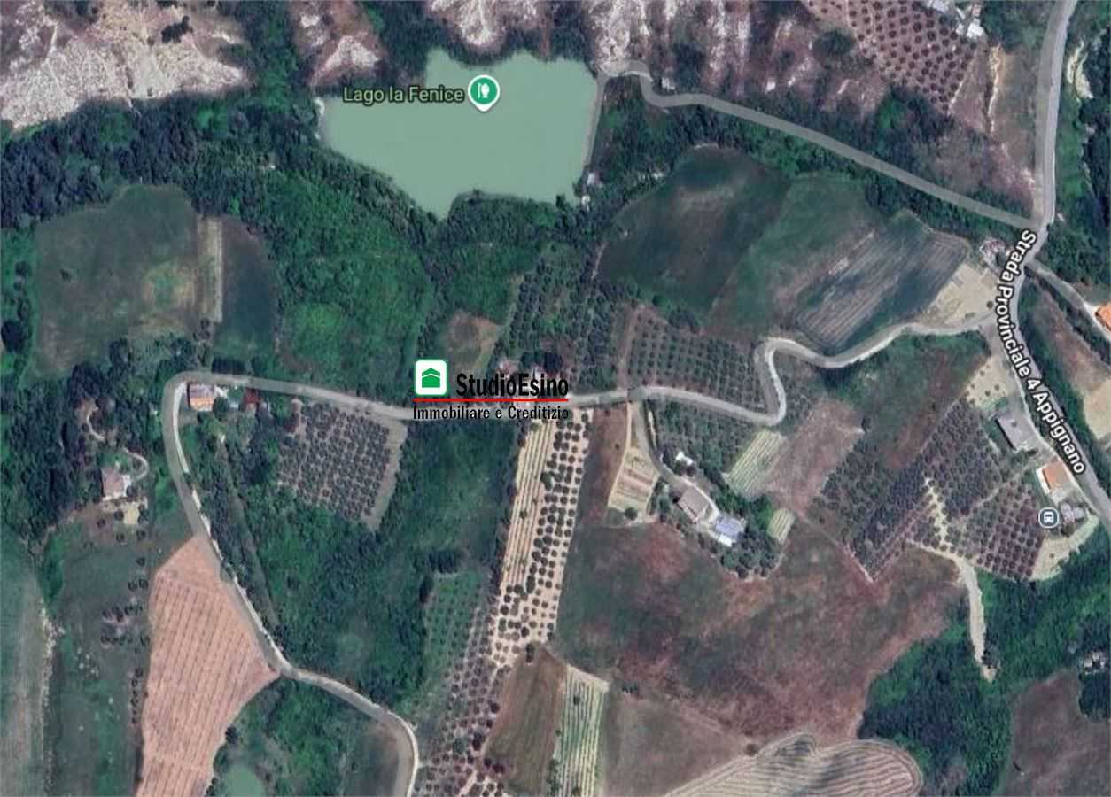 Terreno agricolo Contrada Valle Orta, Appignano del Tronto