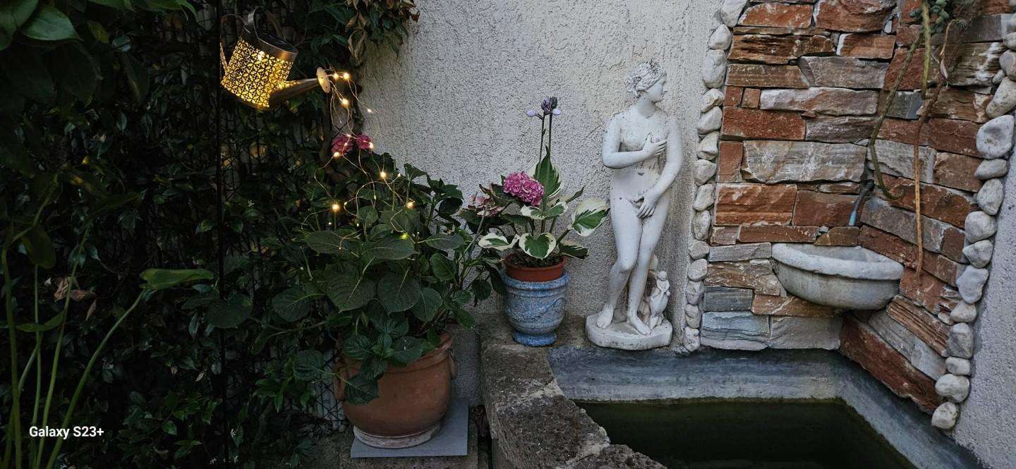  - foto 25