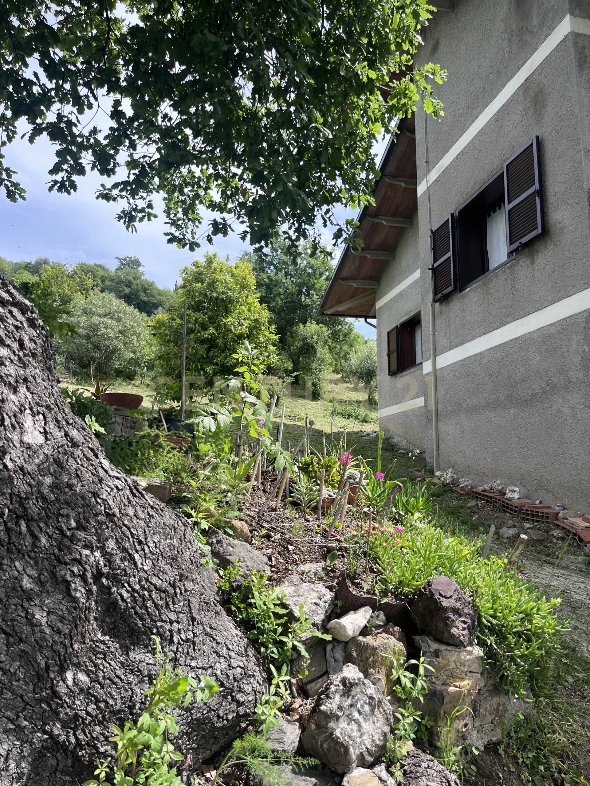  - foto 22