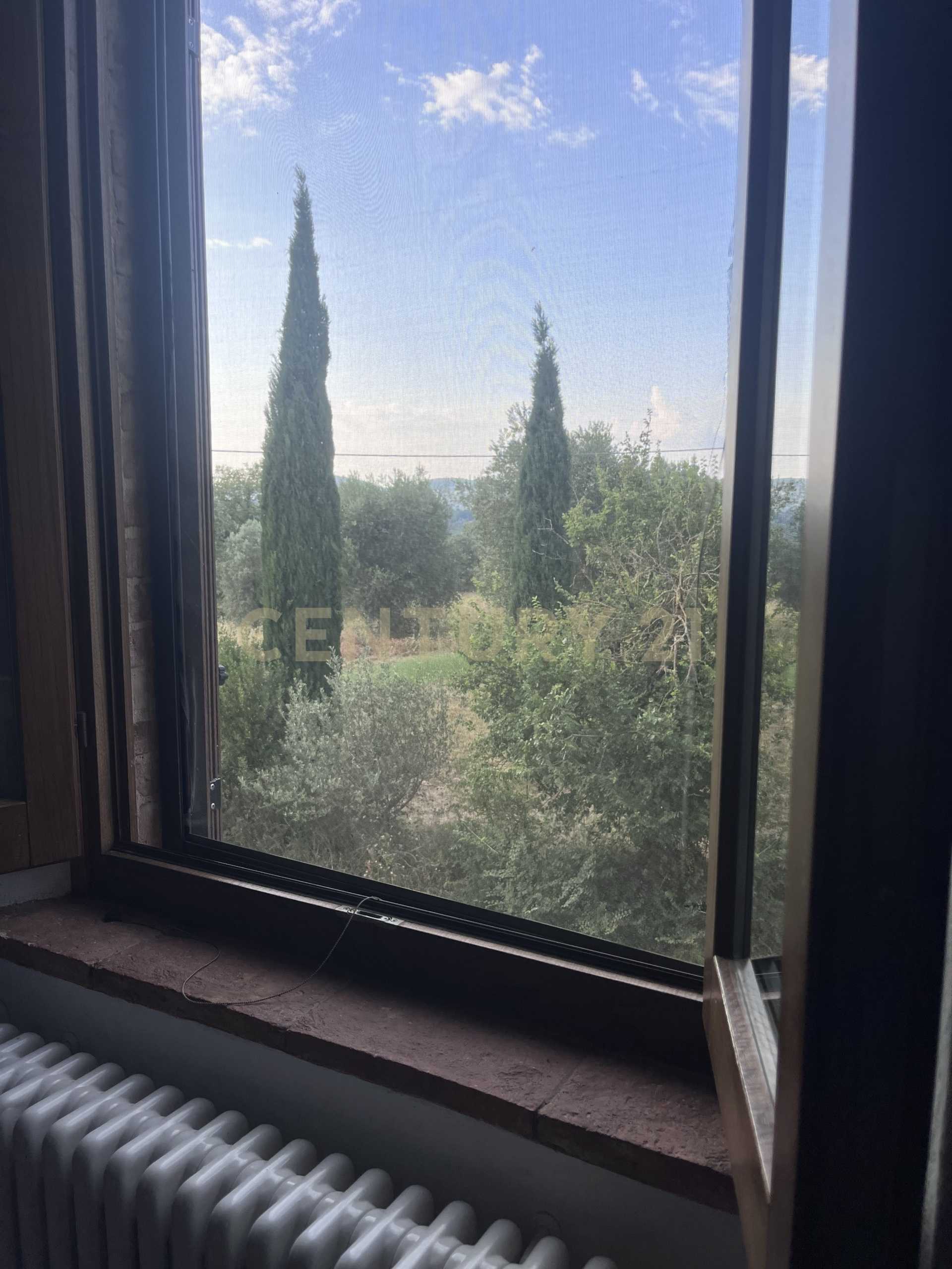  - foto 17