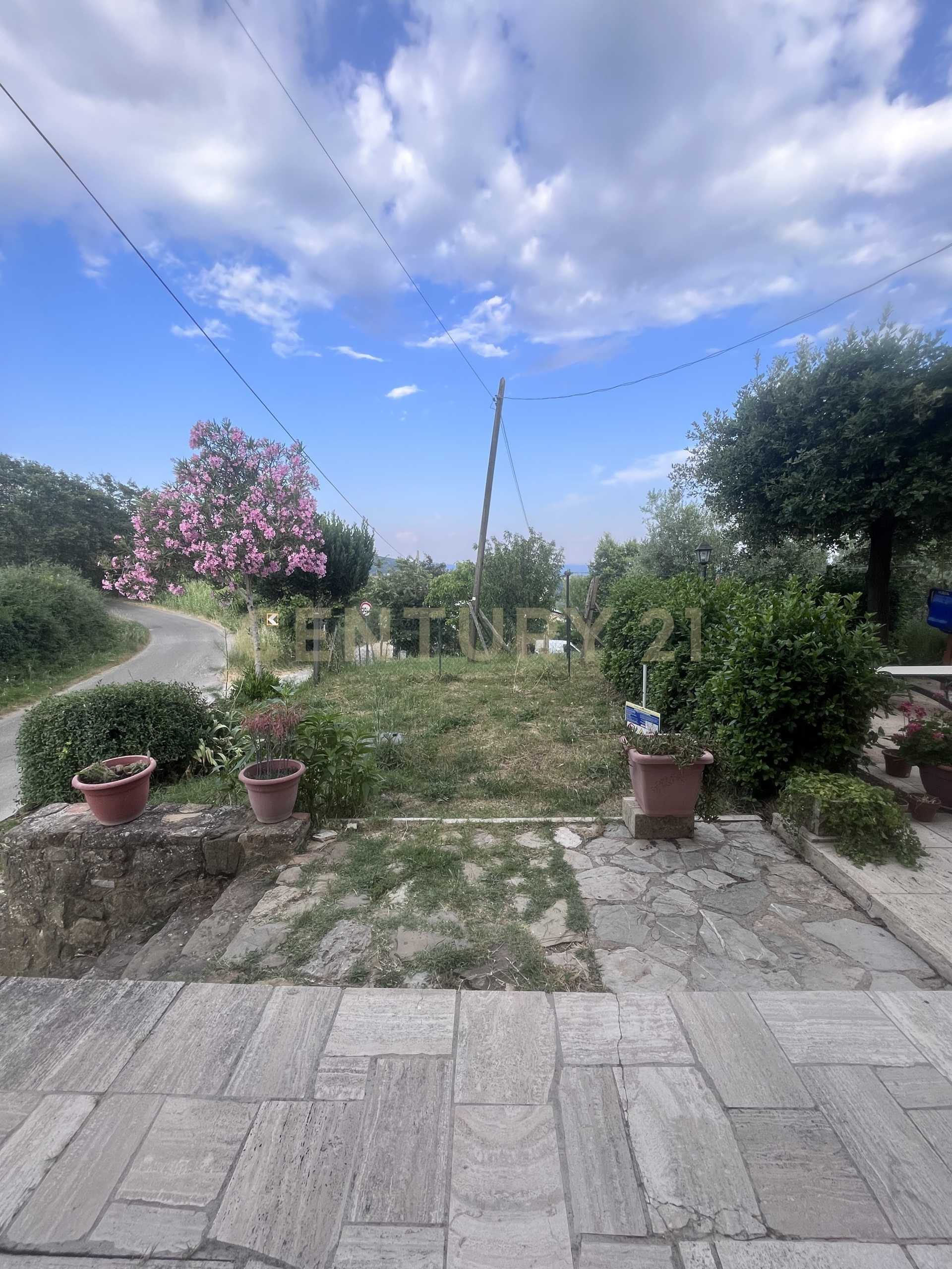  - foto 31