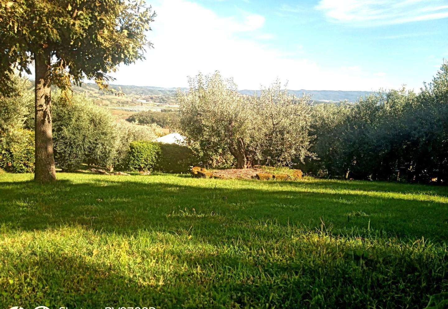  - foto 35