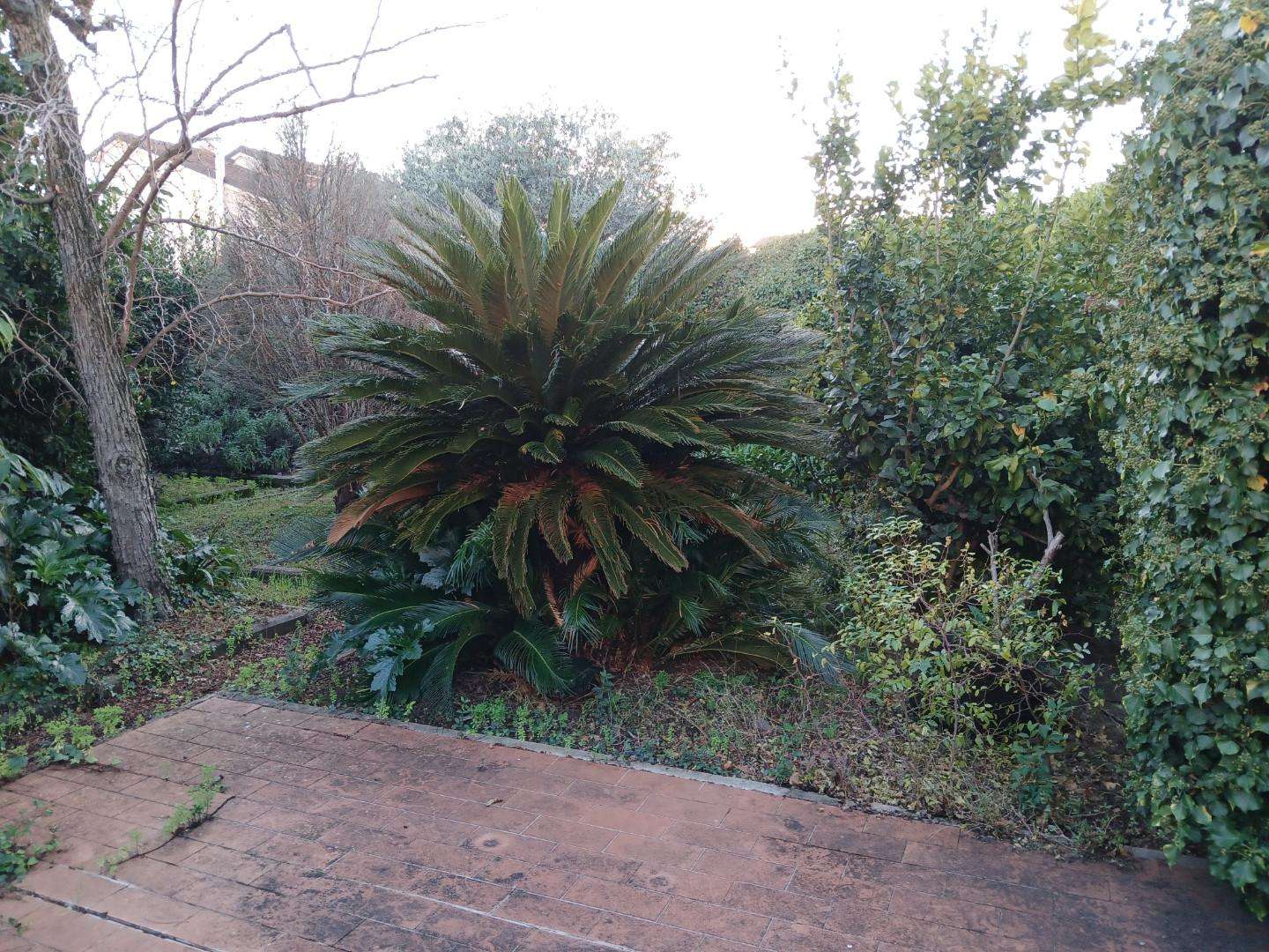  - foto 20
