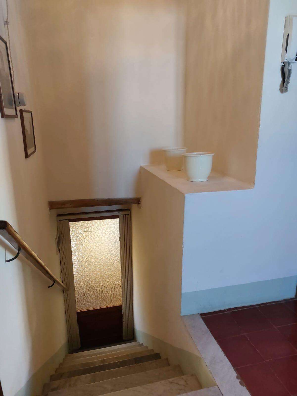  - foto 19