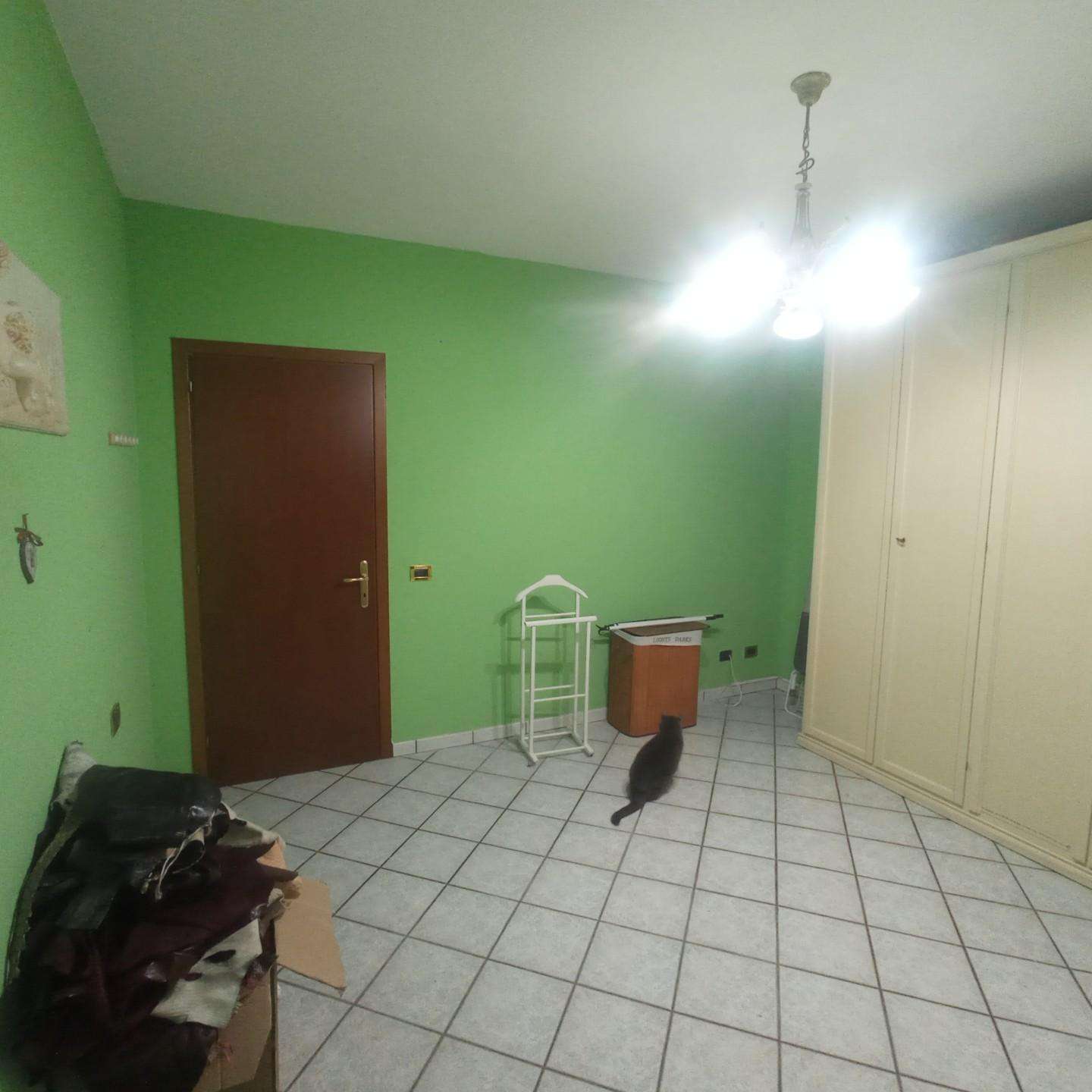  - foto 19