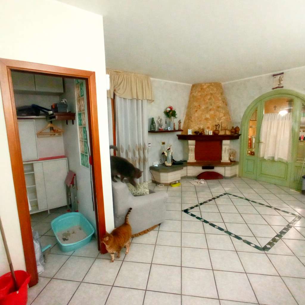  - foto 2