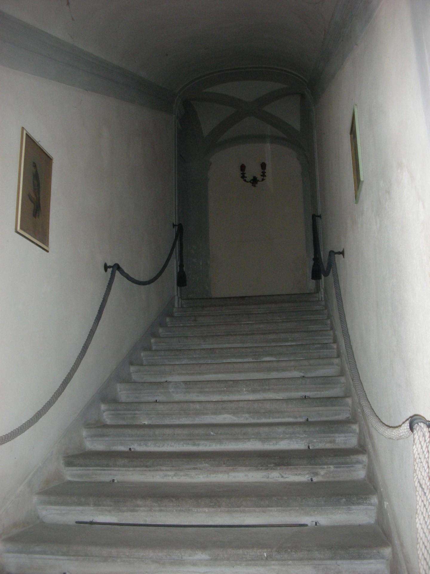  - foto 9