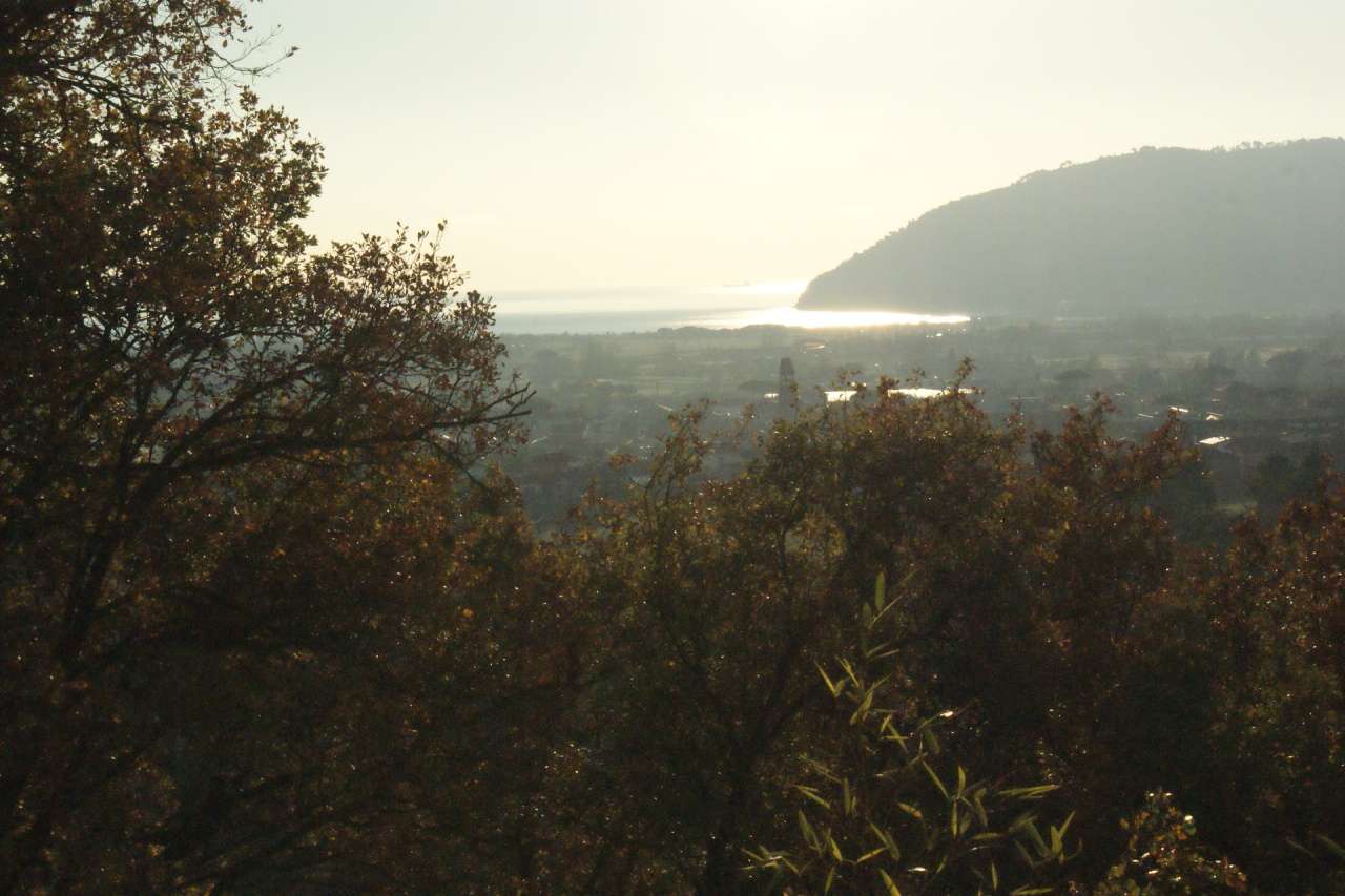  - foto 46