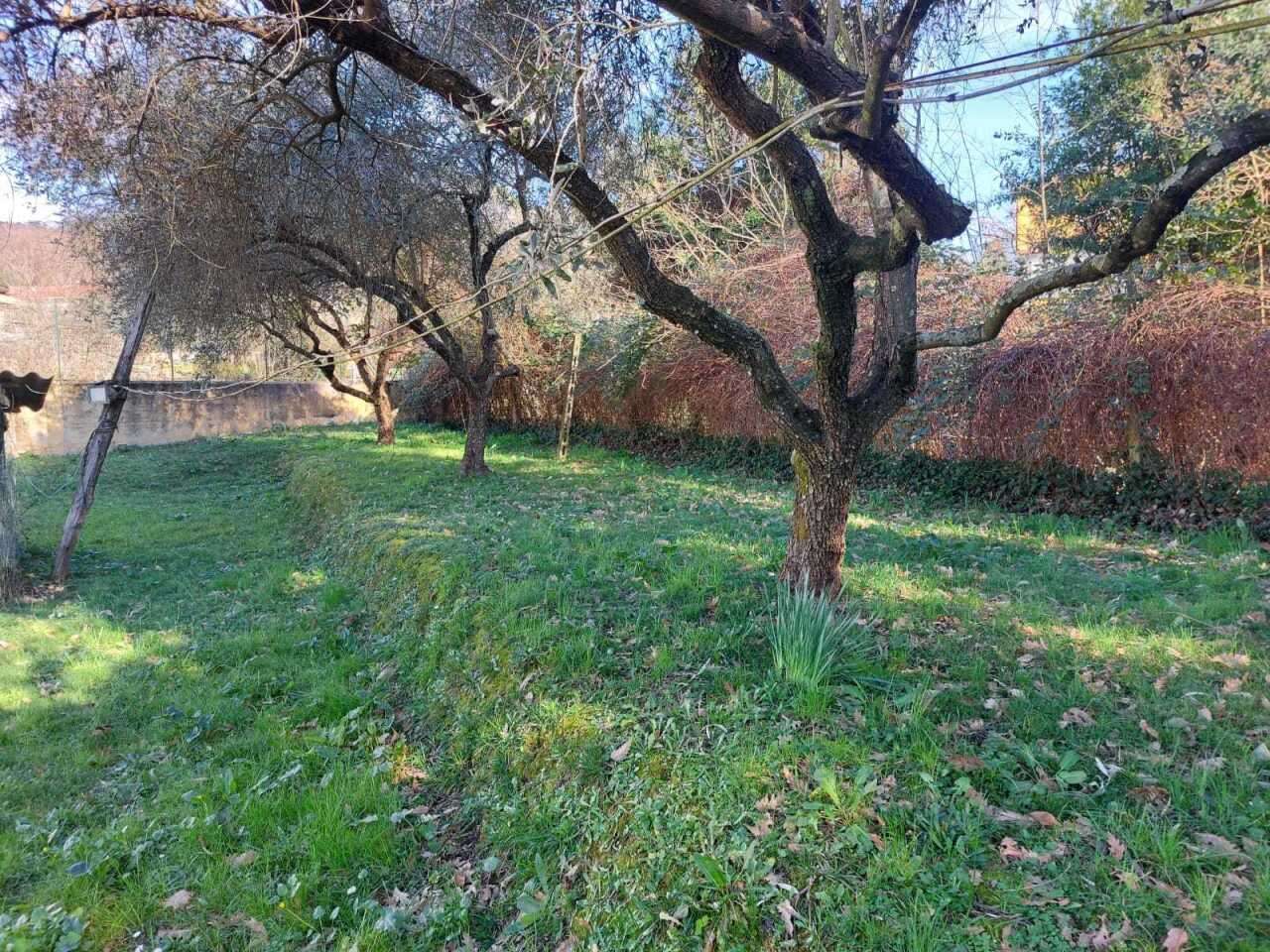  - foto 16