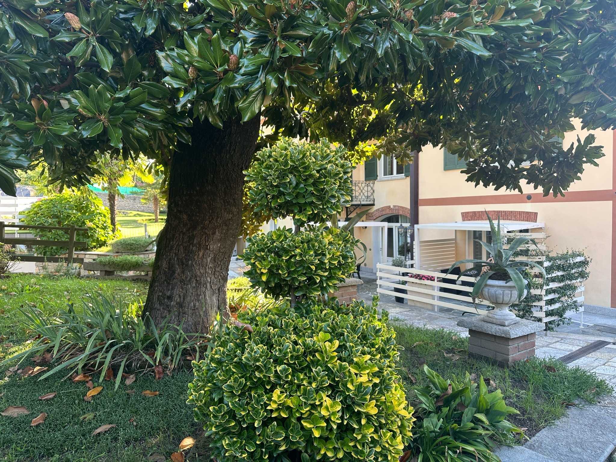  - foto 17