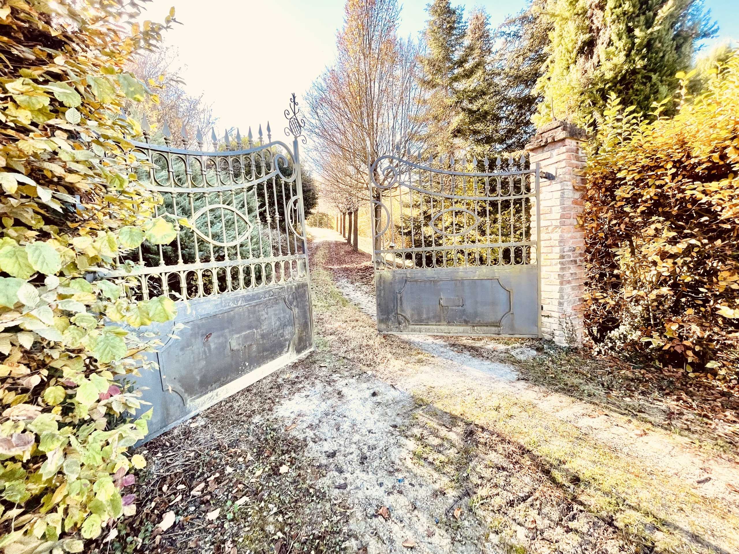  - foto 4