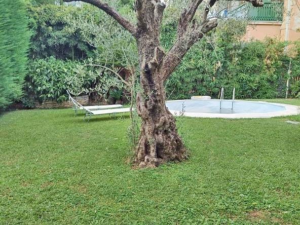  - foto 14
