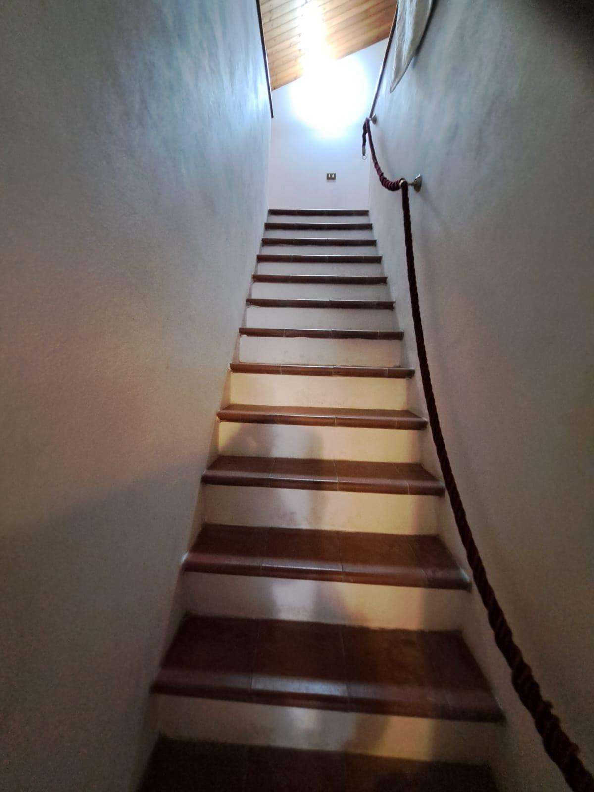  - foto 11