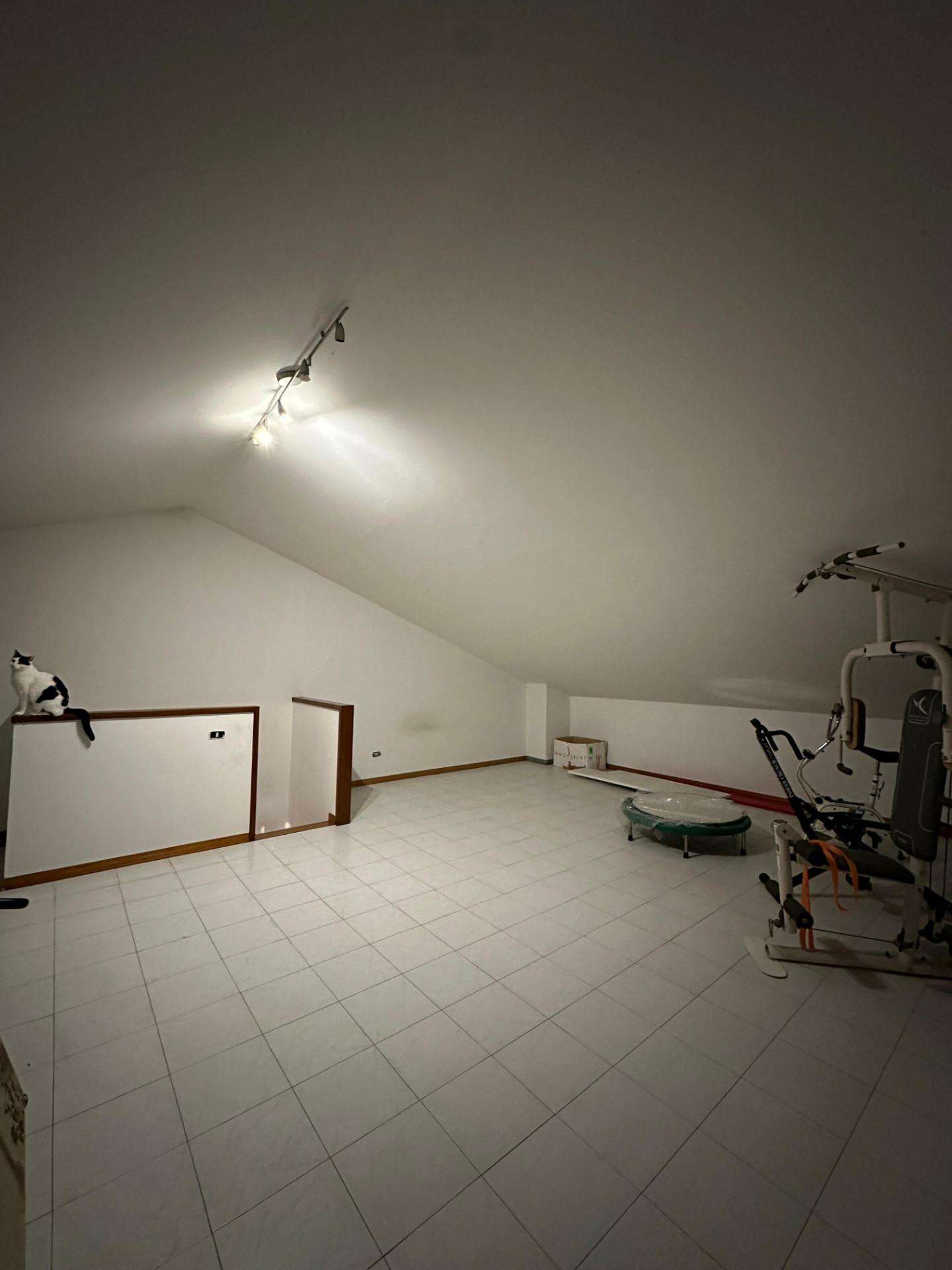  - foto 13
