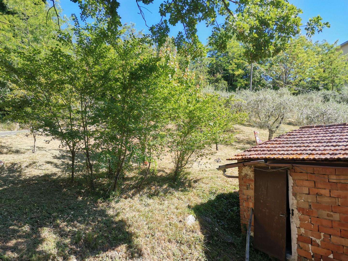  - foto 39