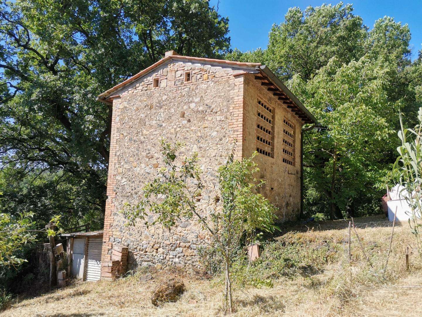 - foto 4