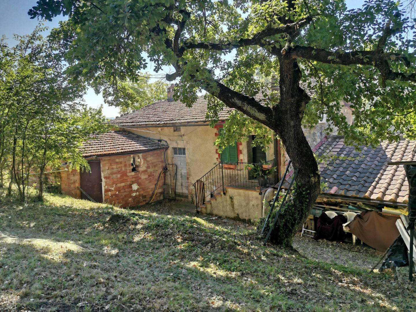  - foto 5