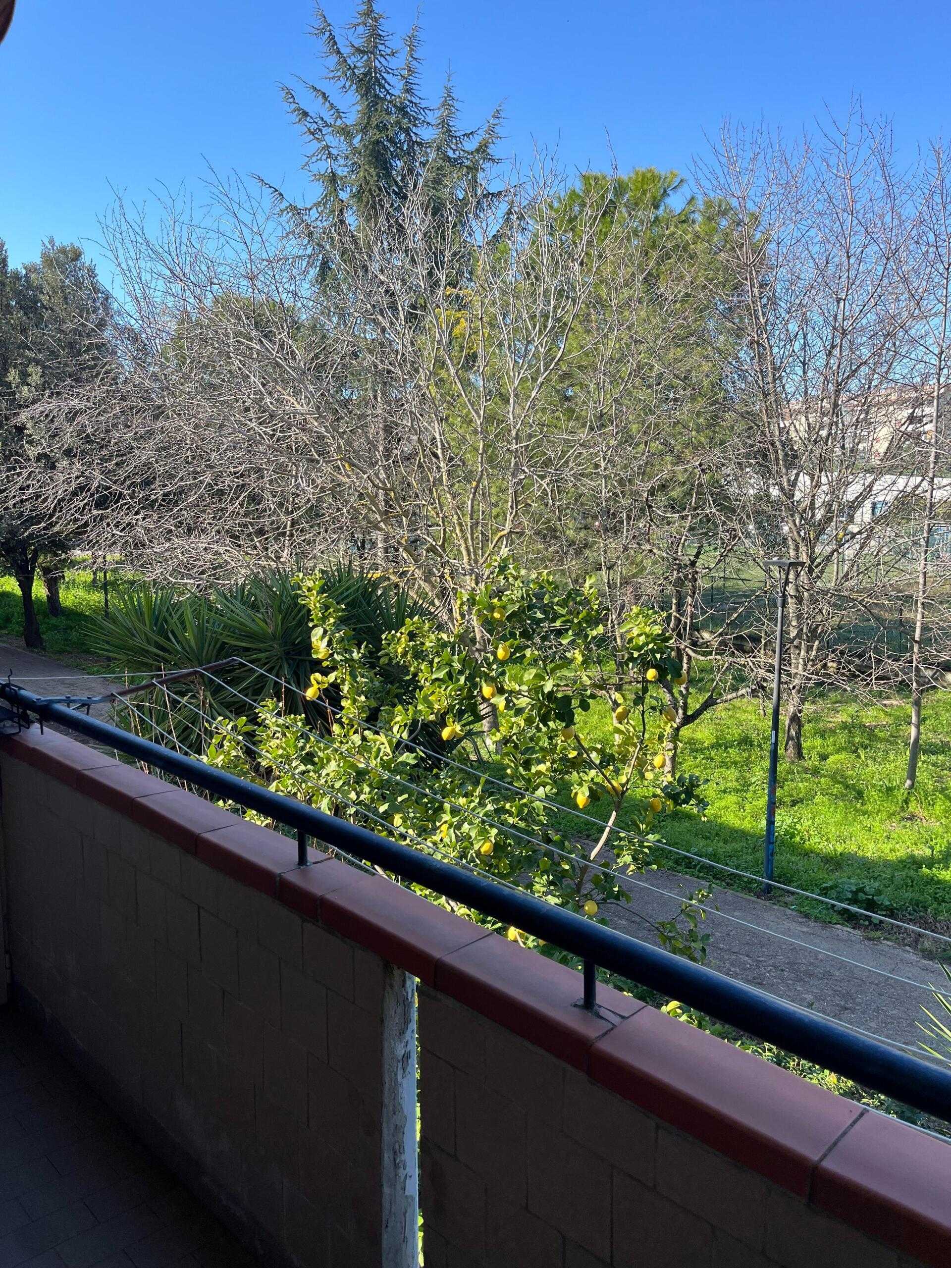  - foto 16